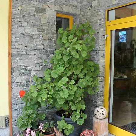 Frühstückspension Samerhof